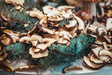 Dried cut slices of mushrooms with green spruce twigs