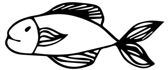 black and white fish