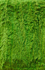 fabric texture of green color background