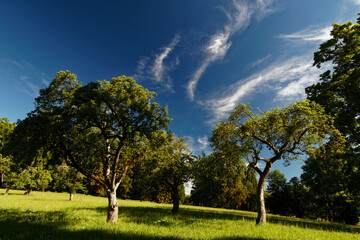 Schacky Park Dießen