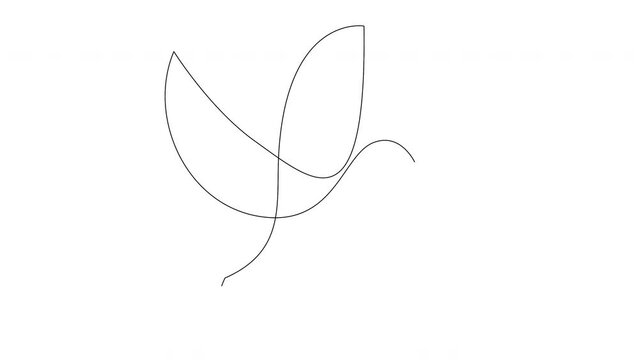 Self drawing animation of continuous line concept sketch of dove with olive branch. Peace symbol. 4K. Alpha channel