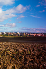 krajobraz pola rośliny drzewa widok wieś