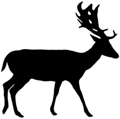 deer silhouette vector in black on white background 