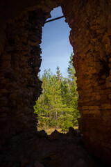 Fototapeta premium A sunny spring day landscape of old red brick ruins in the forest. Old building in the Northern Europe.