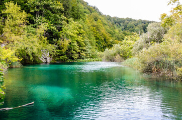 Beautiful Landscape View of a Turquoise Waters and Green Natural Environment in Plitvice Lakes National Park, Croatia.
