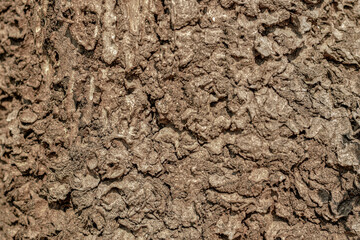 texture background