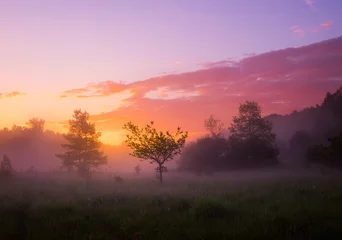 Selbstklebende Fototapete Hellviolett Ein schöner Frühlingssonnenaufgang mit drastischem, buntem Himmel. Saisonale Landschaft Nordeuropas.