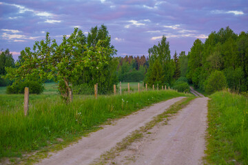 A beautiful springtime landscape with a gravel road. Dirt road in Northern Europe.