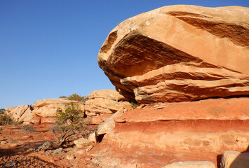 Curious cliff side rock formations in the Bears Ears wilderness area of Southern Utah.  