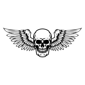 skull and wings