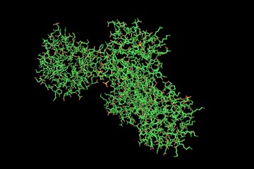 Molecular model of human fibroblast growth factor 18 (FGF18) isolated on black background. Rendering based on protein data bank entry 4cjm. 3d illustration