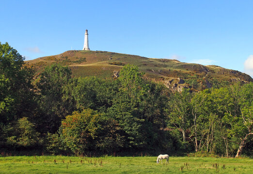 hoad hill and historic 19th century monument in Ulverston with a horse grazing in a meadow