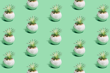 Creative isometric pattern made of green succulents with concrete pots on mint background. Nature,...