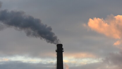 smoke from chimney