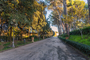 Fototapeta na wymiar Vittorio Emanuele Park in Caltagirone, Catania, Sicily, Italy, Europe, World Heritage Site