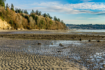 Northwest Sandy Shoreline 7