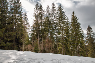 Obraz na płótnie Canvas Winter resort Vorochta in Carpathian Mountains, Ukraine.