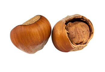 hazelnuts, hazelnuts partially shelled, on a white background