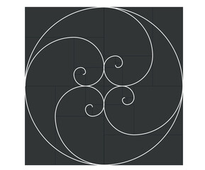 Fibonacci spiral math. vector illustration