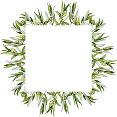 Watercolor Floral Rectangle Frame with Olive branches, Green Olive Square Frame, Olive Berries and Branches Border, Hand painted Exotic illustration on white background