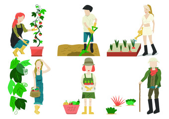 People gardening. Man and Woman planting gardens vegetables, agriculture gardener hobby plants at home and outdoor. Vector is drawn illustrations of plants in pots working. farm Flat vector icon set