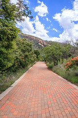 View of a hiking path surrounded by trees and bushes in a mountainous area in Walter Sisulu National botanical gardens, Johannesburg, South Africa