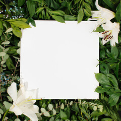 Vibrant background made of white blooms and green leaves with square white paper card note. Flat lay. Nature concept.