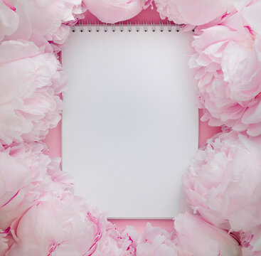 Pink fresh peonies with copy space, romantic floral spring framing background
