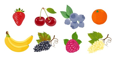 Vector set of fruits and berries on a white background. Fresh and ripe fruits and berries isolated on white background. Vector illustration. Healthy food.
