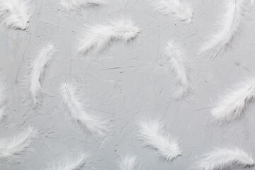 Frame of brightly colored dyed bird feathers on Colored background, top view