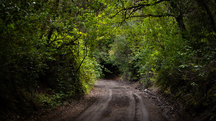 lonely tray in patagonia