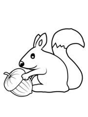 Fröhliches Eichhörnchen Eichel 