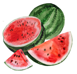 Red juicy watermelon pieces, half and whole fruit. Watercolor tropical illustration