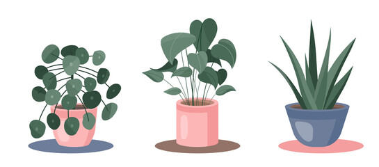 Set of the house plants in pots. Vector Aloe, Lucky Money Tree, Dieffenbachia,