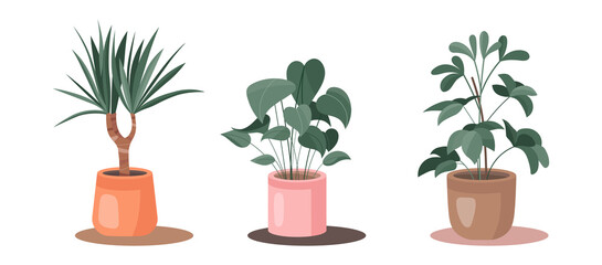 Pot plant set. Cute green houseplants in pots. Home flowers isolated on white background. Vector dieffenbachia, dracaena, schefflera illustrations.