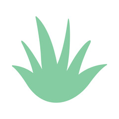 aloe vera simple shape, aloe vera graphic