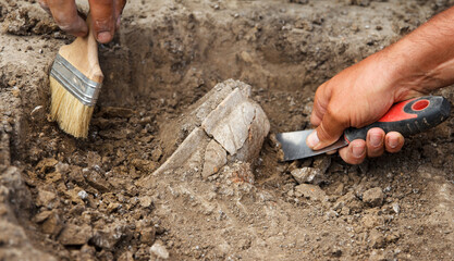 Archaeological excavations, archaeologists work, dig up an ancient clay artifact with special tools - obrazy, fototapety, plakaty