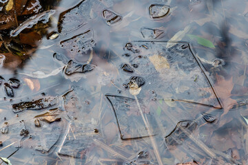Eis am Teich mit Blättern, abstrakt
