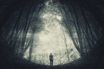 man in surreal forest, fantasy landscape