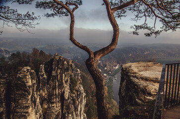 Baum