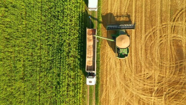 Aerial shot of combine loading off corn grains into tractor trailer on farmland. Filmed in UHD 4k video.
