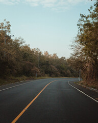 Fototapeta premium road in autumn forest