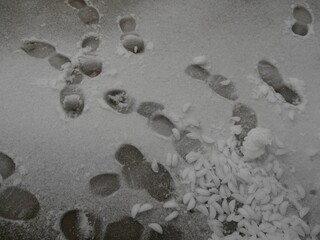 Shoe prints in the snow with a pile of icecubes dumped on the ground