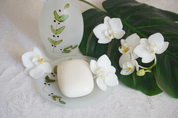 Fototapeta na wymiar Beauty care for skin and body equipment decorated with orchid flowers and philodendron leaf