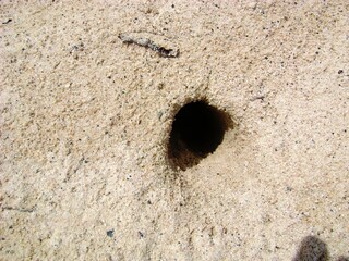 Hole in the sand dug at a beach
