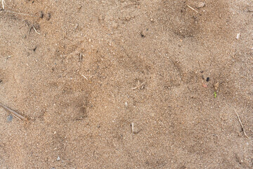 Sand texture. Barra da Tijuca, Rio de Janeiro. Brazil. Closeup. Top view