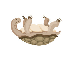 Turtle character. Land turtle. Wildlife animal in shell. Flat vector illustration isolated on white background