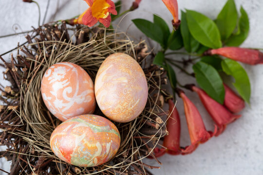 Easter Eggs Dyed with Various Patterns of Orange Silk in a Nest Surrounded by Orange Hummingbird Vine on a White Background
