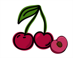 Cherry sprig or sweet cherry whole isolated on white background, hand drawn or doodle style. Flat vector illustration.