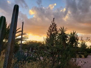 la naturaleza en su máxima belleza , desde un paisaje urbano.